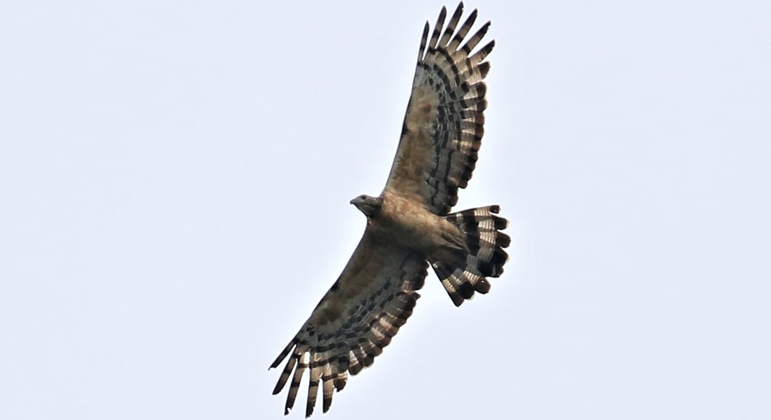 Picture12.jpg