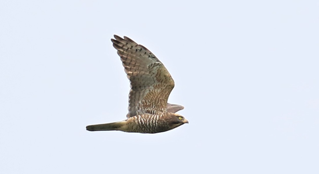Picture14.jpg