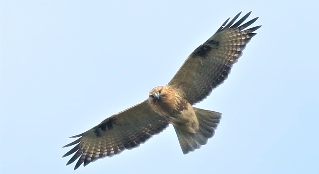 Picture16.jpg
