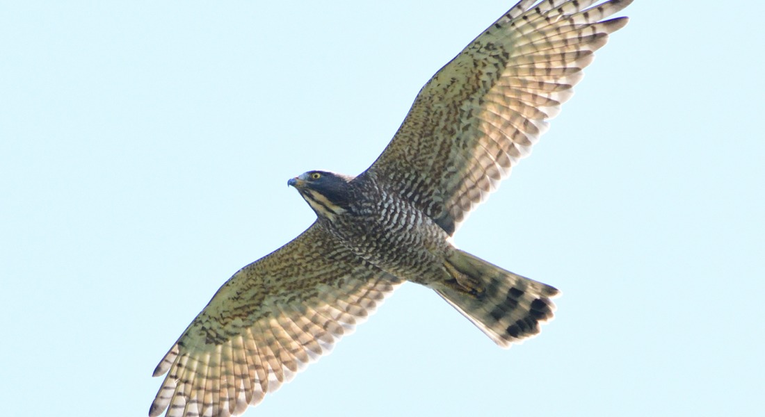 Picture6.jpg