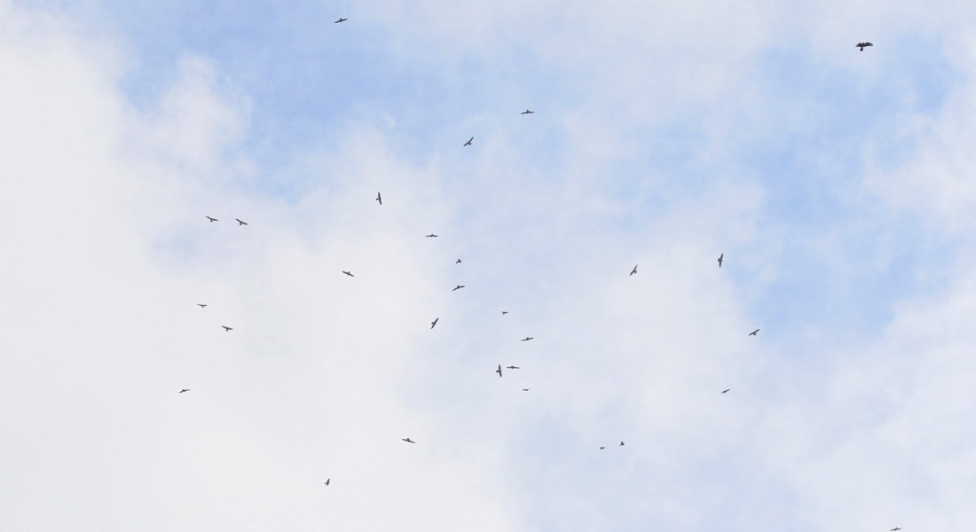 Picture7.jpg