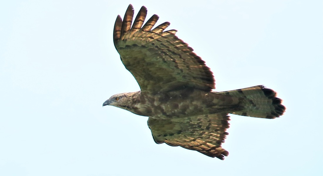 Picture8.jpg