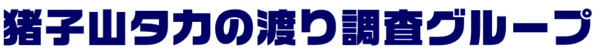 HMRG 猪子山タカの渡り調査グループ